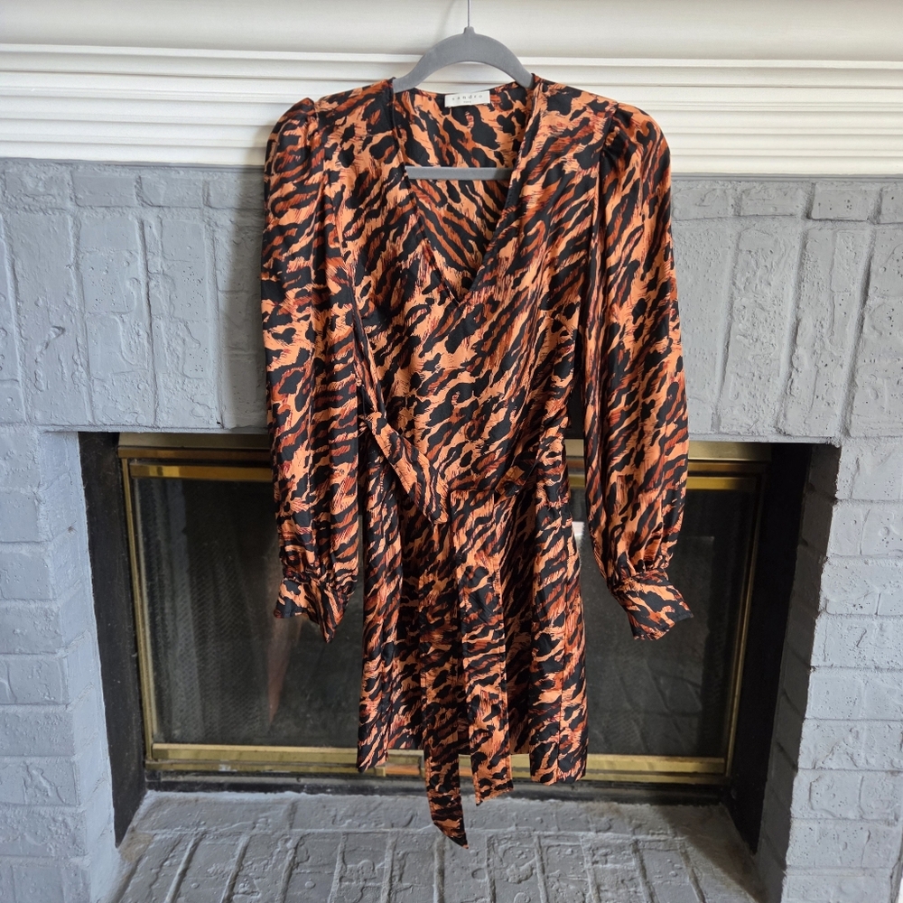 Sandro Lunas Tiger-Print Silk Long Sleeve Dress Size 36 (XS-S)